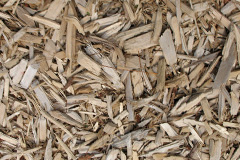 biomass boilers Balstonia